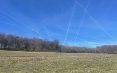 Saturday Walk – Pishill Circular Walk via Christmas Common – Saturday 21st March 2026 – 09:30