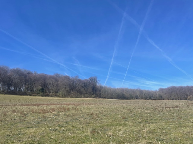 Saturday Walk – Pishill Circular Walk via Christmas Common – Saturday 21st March 2026 – 09:30