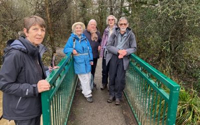 Friday Walk – Mill Hill East Circular London – Friday 6th February 2026 – 10:15