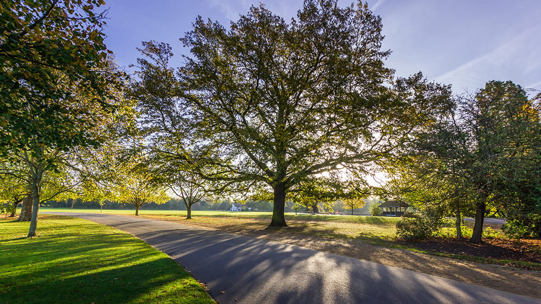 Wednesday Slow Lane Walk – Dulwich Park and Picture Gallery – Wednesday 11th February 2026 – 10:30
