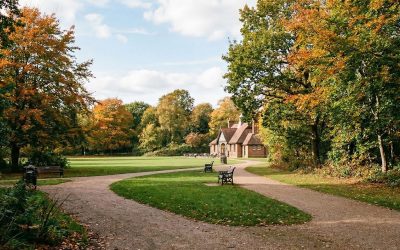 Friday Walk – Oakwood Circular – Friday 6th March 2026 – 10:15