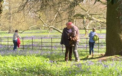 Wednesday Slow Lane Walk – Osterley Bluebells – Wednesday 8th April 2026 – 10:15