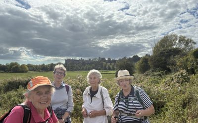 Wednesday Slow Lane Walk  Arundel and Cathedral – Wednesday 9th September 2026 – 11:02