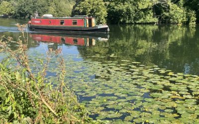 Friday Walk – Friday 7th August 2026 – 09:45