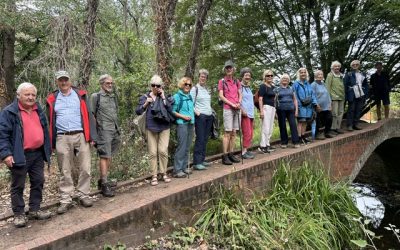 Friday Walk – Friday 4th September 2026 – 10:30
