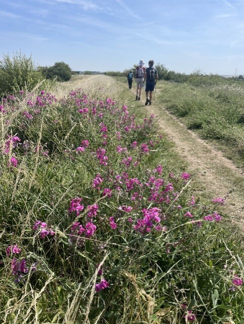 Friday Walk – Friday 3rd July 2026 – 10:14