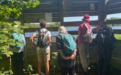 Friday Walk – Moor Green Lakes Reserve and Crowthorne – Friday 1st May 2026 – 10:38