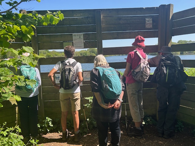 Friday Walk – Moor Green Lakes Reserve and Crowthorne – Friday 1st May 2026 – 10:38