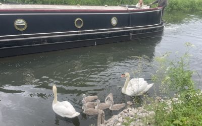 Friday Walk – Friday 5th June 2026 – 10:42