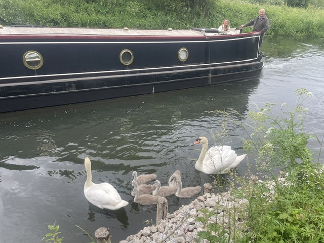 Friday Walk – Friday 5th June 2026 – 10:42