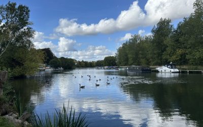 Friday Walk – Friday 2nd October 2026 – 10:30