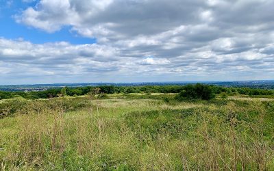 Friday Walk – Moor Park Linear Walk – Friday 27th March 2026 – 10:30