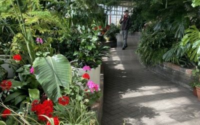 May Weekend  Friday morning walk – Guided Tour of Buxton – Friday 15th May 2026 – 10:30