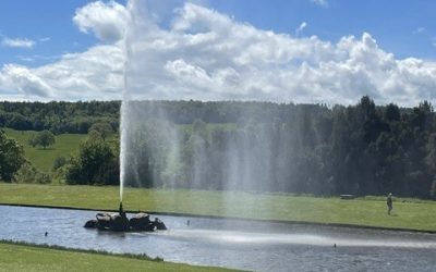May Weekend Monday Walk – Monday 18th May 2026 – 11:00