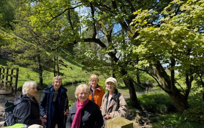 May Weekend Sunday Walk – Hartington Slow Walk – Sunday 17th May 2026 – 11:00